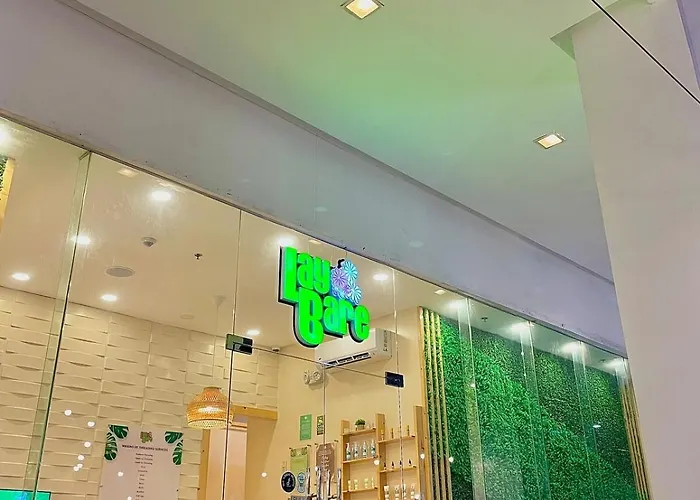 101 Newport Blvd - Skybison Aerie Across Naia T3